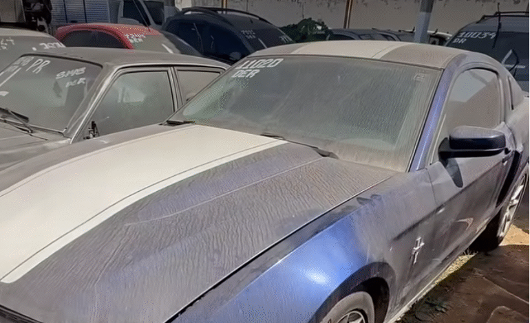 MUSTANG NO LEILÃO