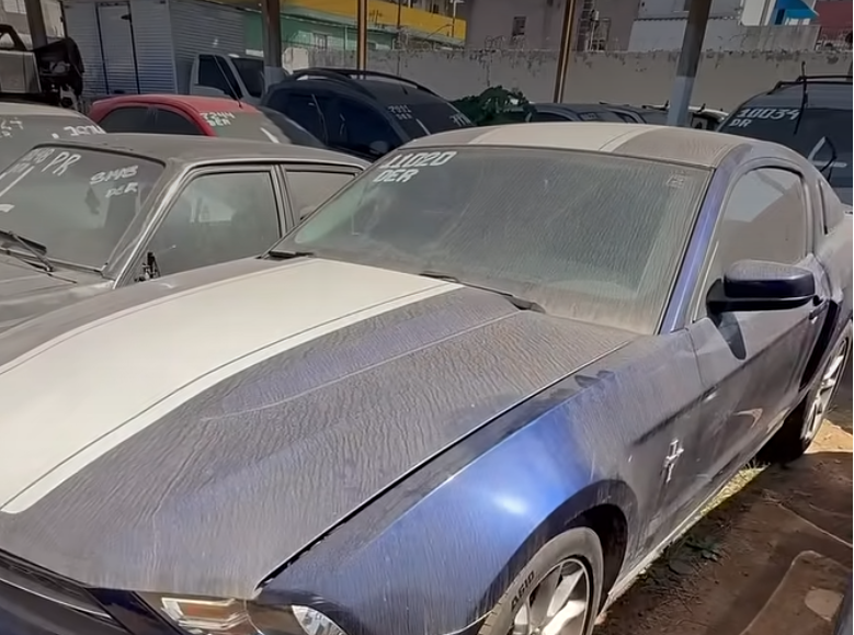 MUSTANG NO LEILÃO